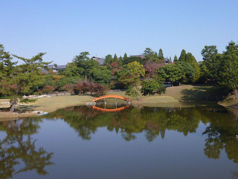 8E219598AF1125A63F0A44399227816A