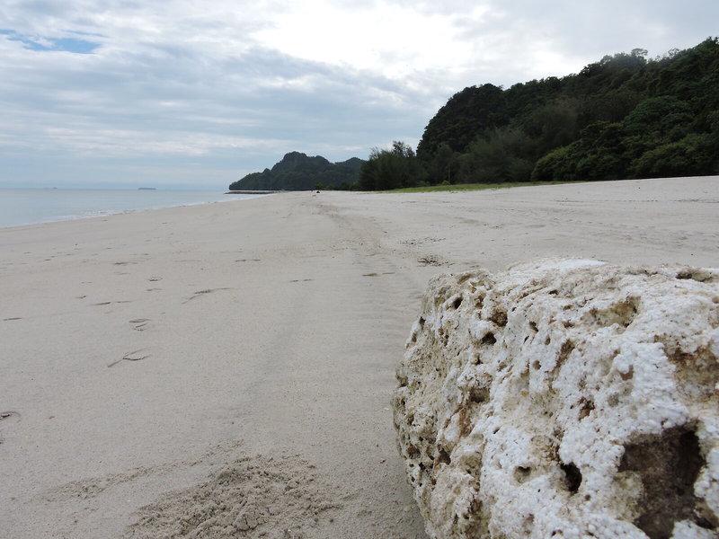 436920565593E0936DCC57CFA1BB9FF7