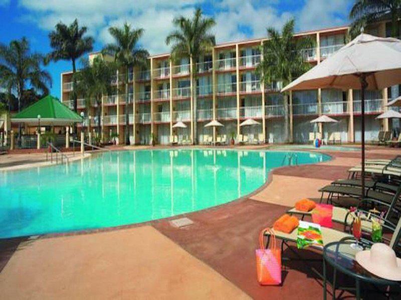 0A8D805B4DFE9F158A4FDF4D9D969252