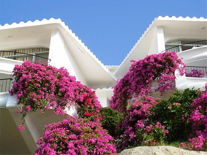 6F2DF54EC37EFC7AE8B8451CACDF2E34