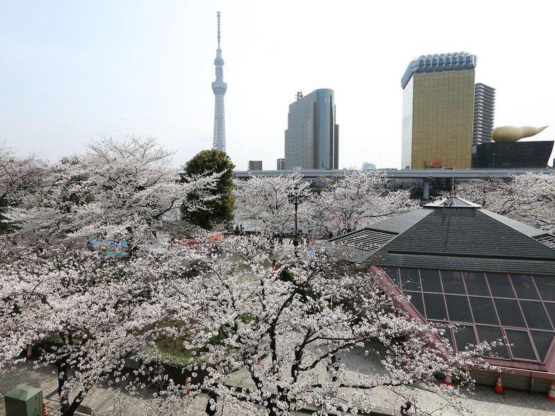 970A8D92884AC404A123DE4216180206