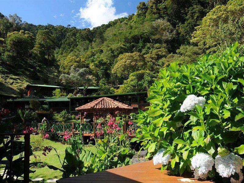 98A47D560436B20F64838F52E61FB175