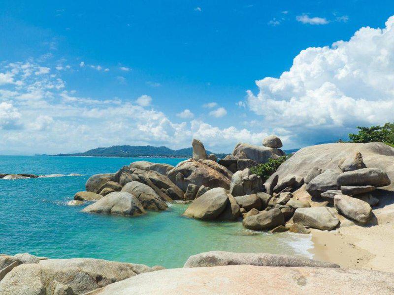 493AEA2735DFB918A6FEEDB05E727036