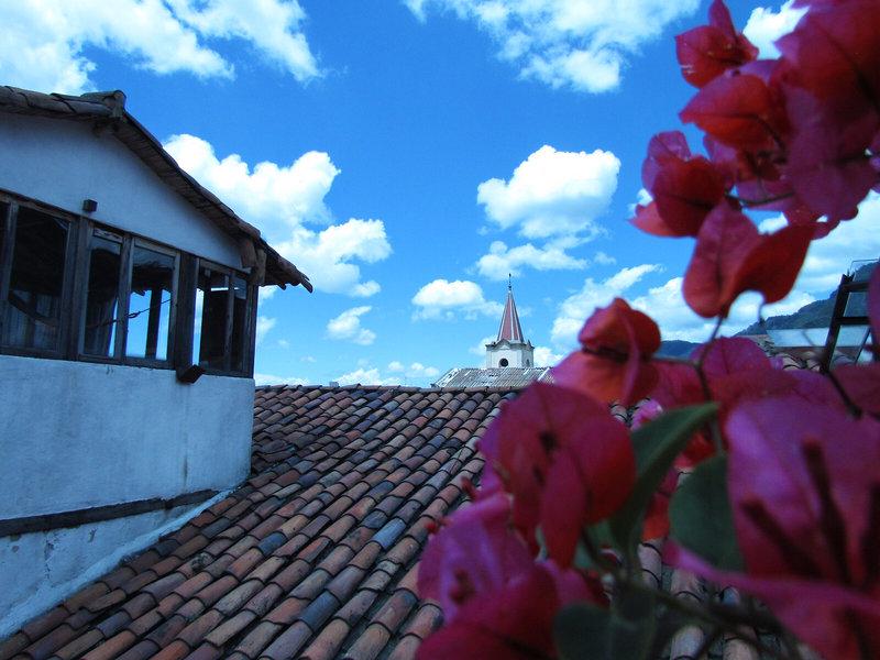 CD1B4467ACD56ECF3107164D2F8CDE11