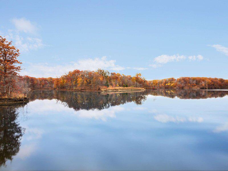 D21EBD7854F0CF6B134F1EE5C9BAE847