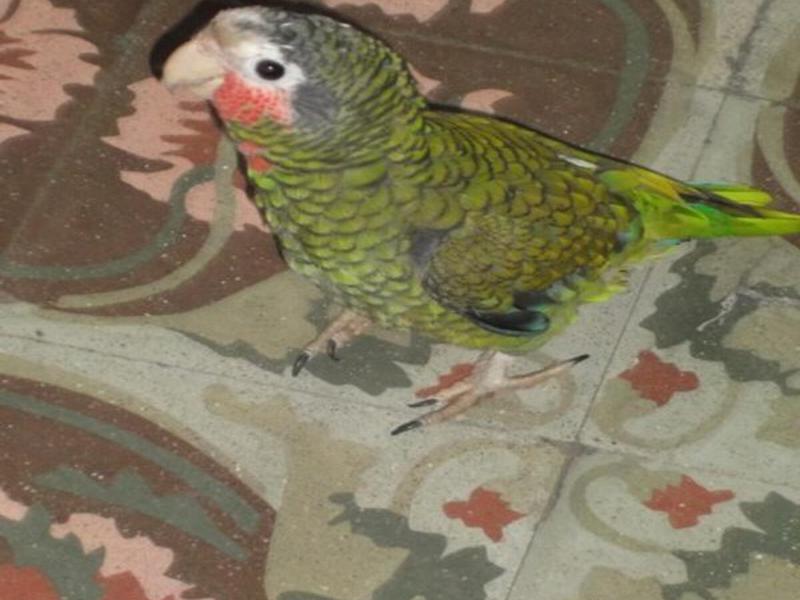 20E5D005EFB1B957AB05592E6F1592AC