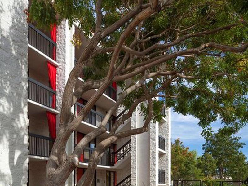 41C0B9A96F88833C889B03A4EDBC0C38