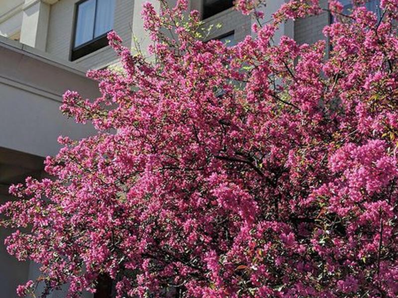 74A66DB5369CFF77FF036A017D972B9F