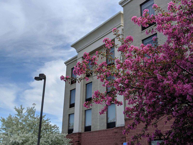 42F4FC315A282F2F162F4F125FD350EF