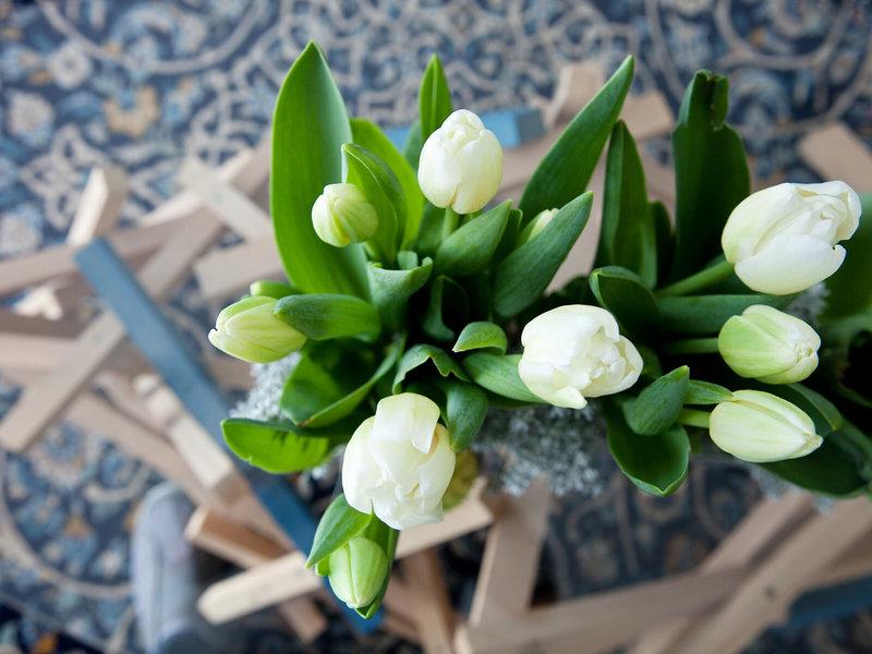 034610975736C8339D18D67ED3938FB8