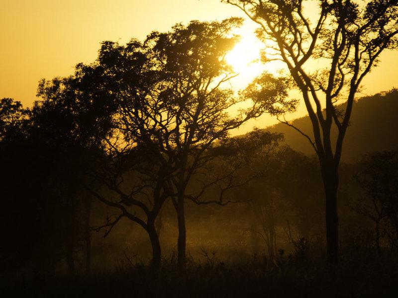 3907BD494CC2C95B27E837D735D58D35