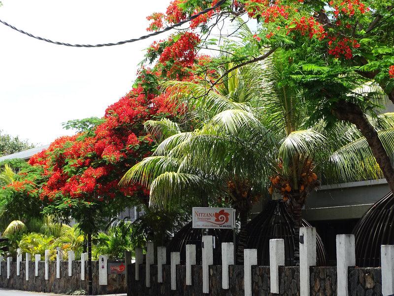 8A14E16778F4A776D56703EC6336EFBA