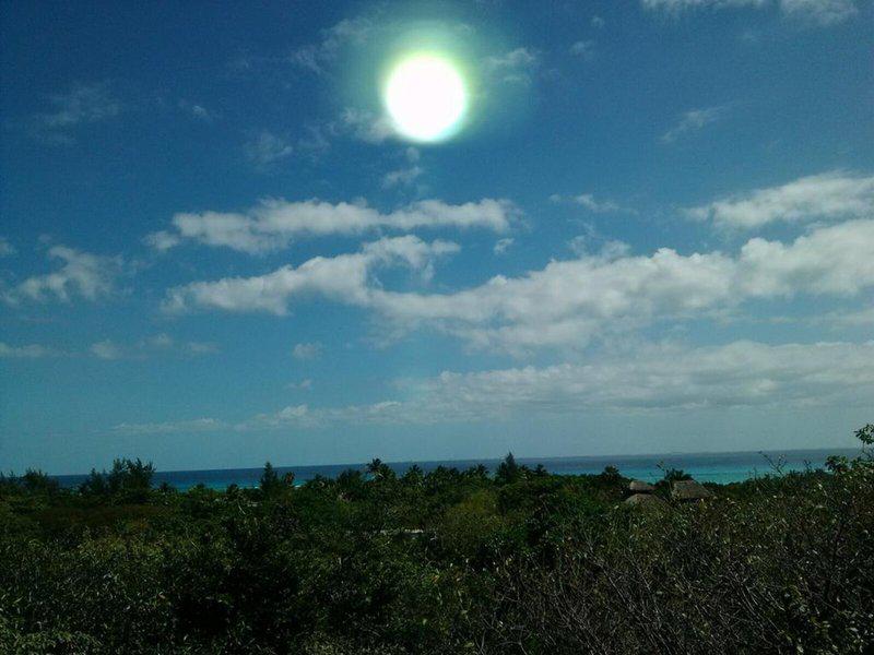 087B4B68088E66D2CCB09AC87CF1310B