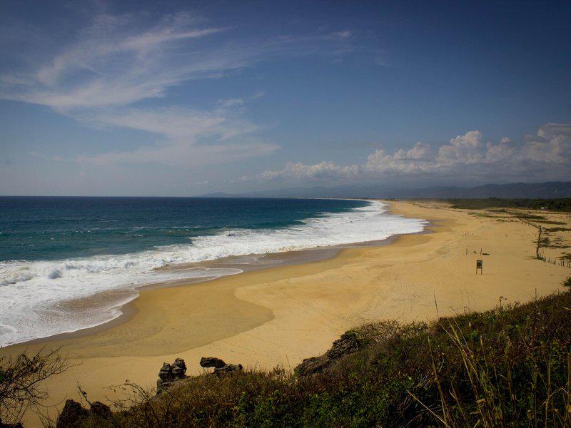 E5E38BABE7C023CB54C4E1EFF15611D0