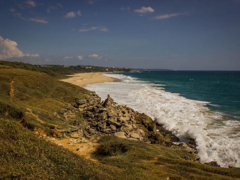 4A11E8D43AB6F4778F57A70059B9A2D9