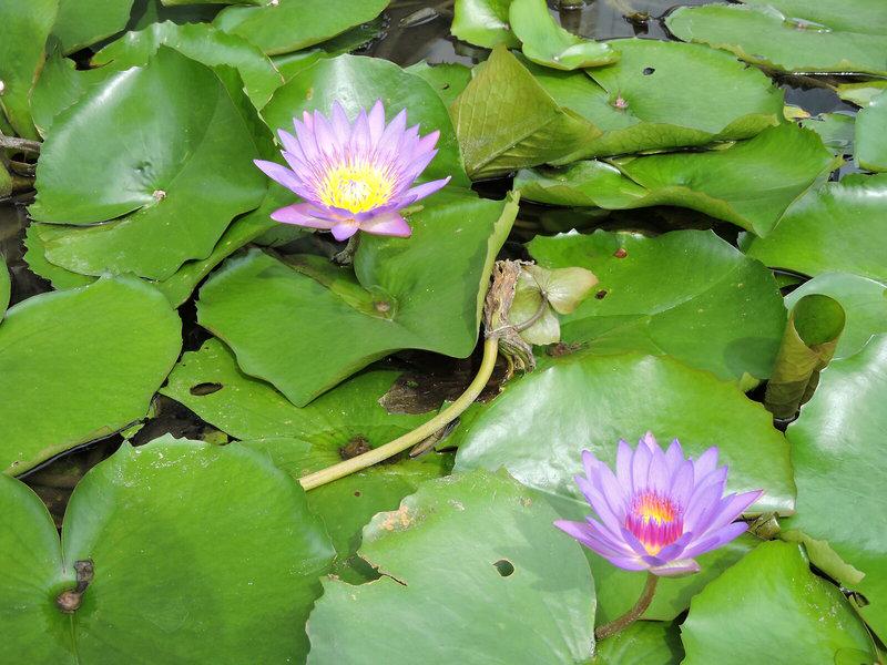 A33436675B6745C0EB38FCE43CBF98D7