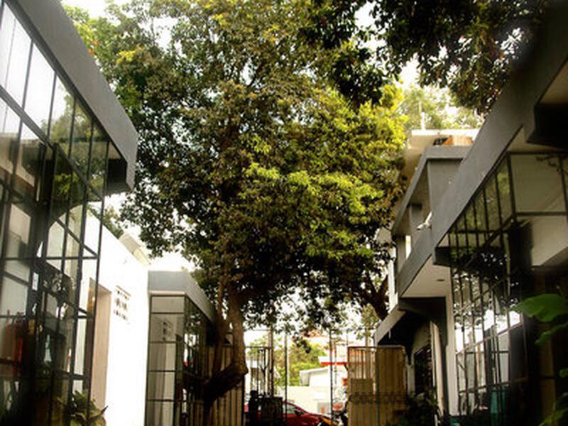 903852CB9D9E0BEAEAC919A805545926