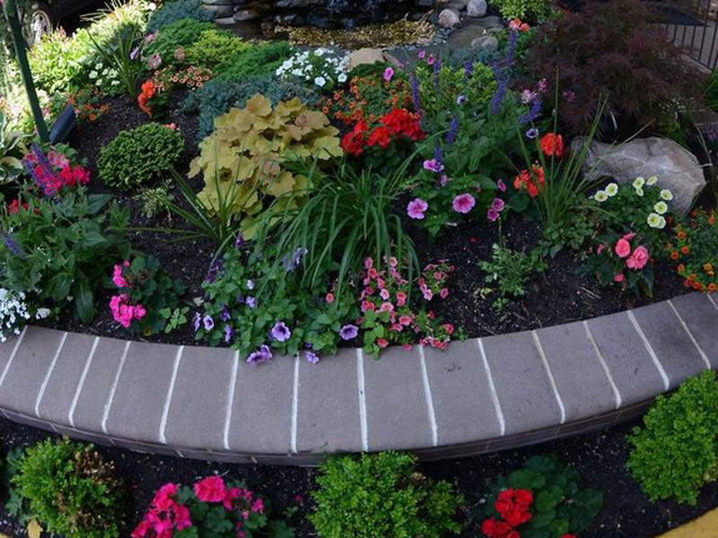 3A781D65B876F4F0786FF39AA1B6E8FF