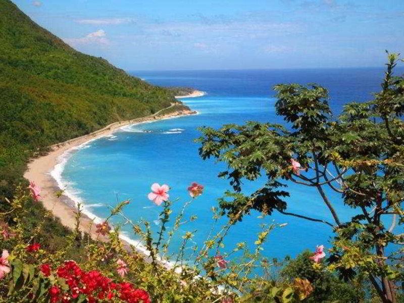 200513EC613B7803EA01E90EB69EAD0E