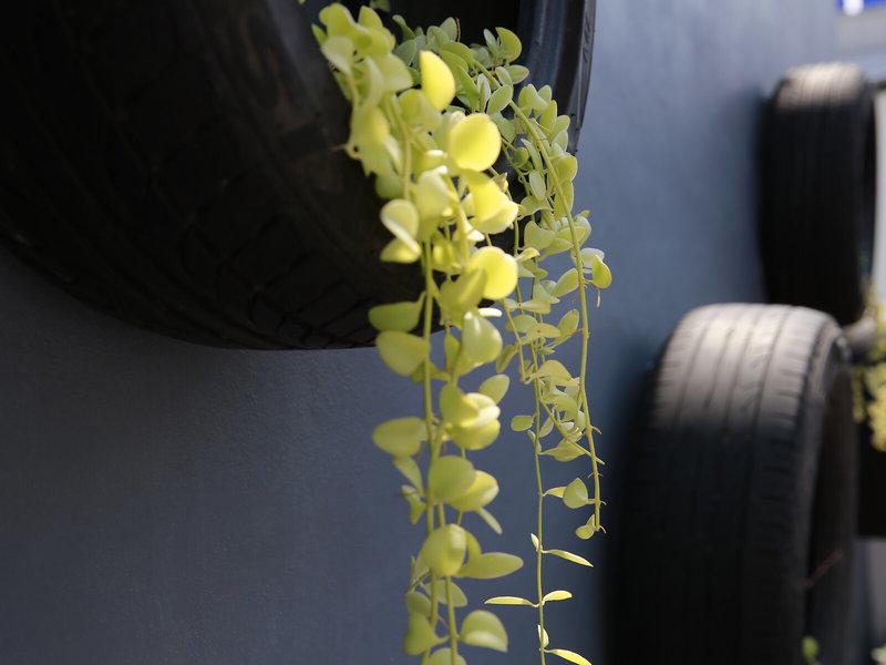 8DFE24B6F3E9D0750425EB415451CAD2