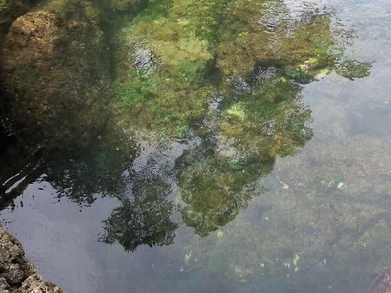 BA7EB10FC88FE60051ECD03D2CF8D619