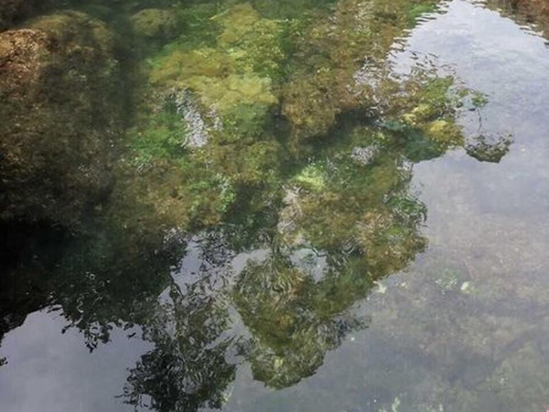 C9D1A683A820C1FB18543DE277B2751C