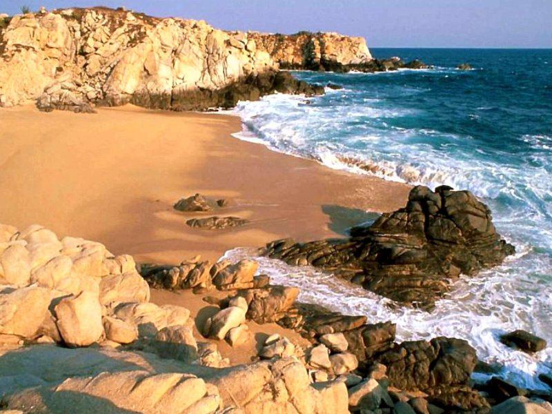 53D94550F85B1CEC2A70A1859FD8DE1C