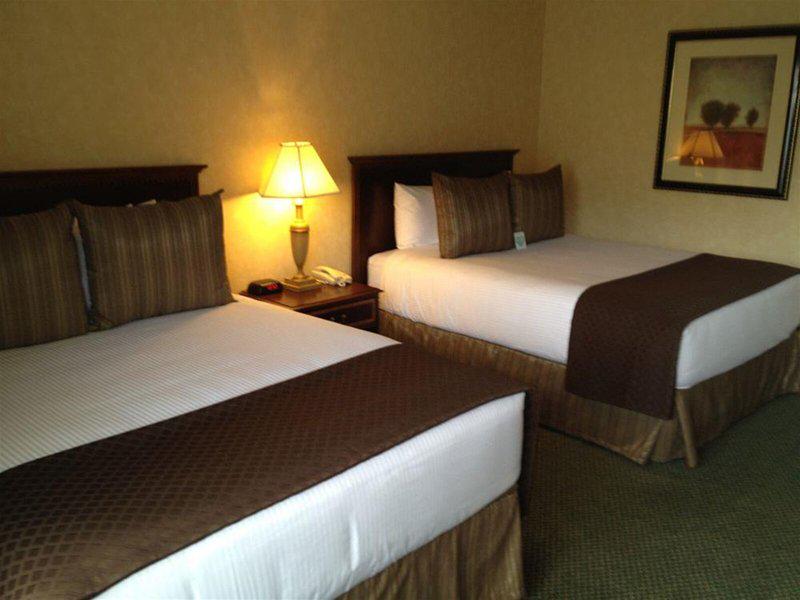 6AF6A13B5B2B1AF0B34B03F4DB80B6F5