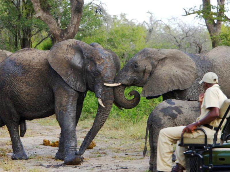 C893BE0677A7F51CF488929C2645DCDD