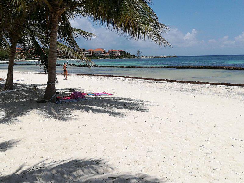 46A584F5005216526AF6F440CE3415F6