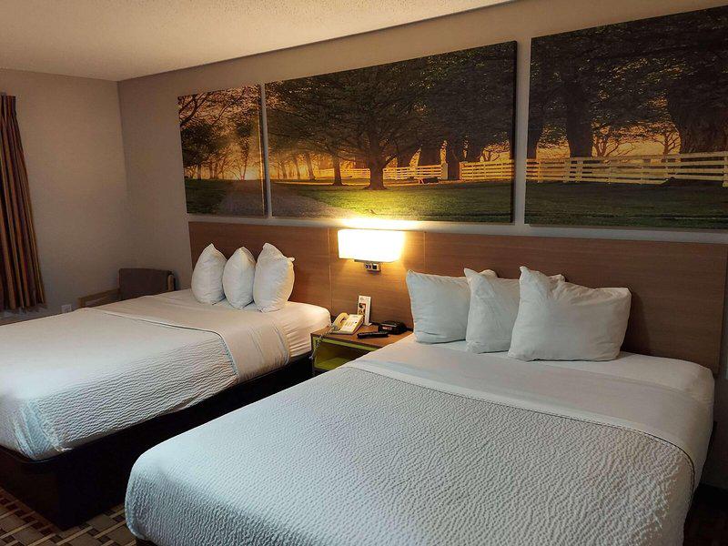 A0FF57A7D653D610E4E3E2660DBA1BD0