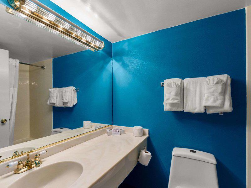 EFEA6C59DA682DE72C2ECB7BE1F90655