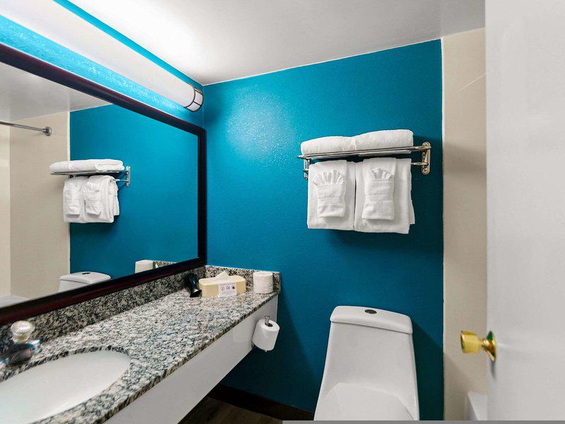 0B80A9C59C74A46C6388D737E6632647