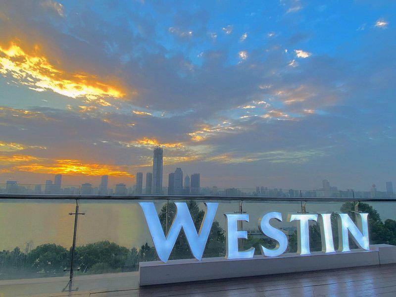 22AA8C9D49E8D89E02E6510A152F383F