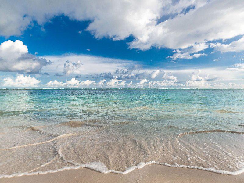 E8A86758B41010A7F4ED4C343A509077