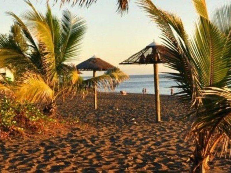 1A2D1EE275FC8B290A73E39C44F247E3