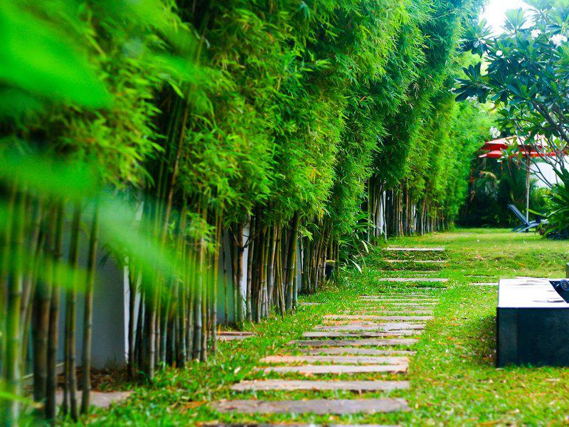 6E9EBB9A2F1FC1F1F171F5A5CE60CD0C