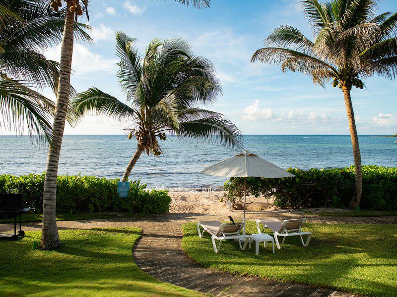 322F4BEFFFA0467FF72F31AE665DF753