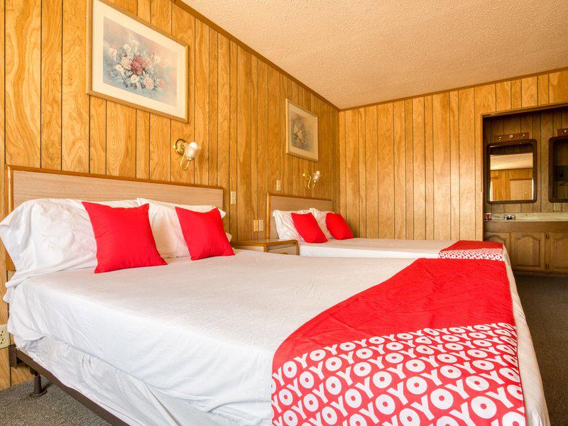 B89E8B38863C11B3DB08B66F6D6ACC5E