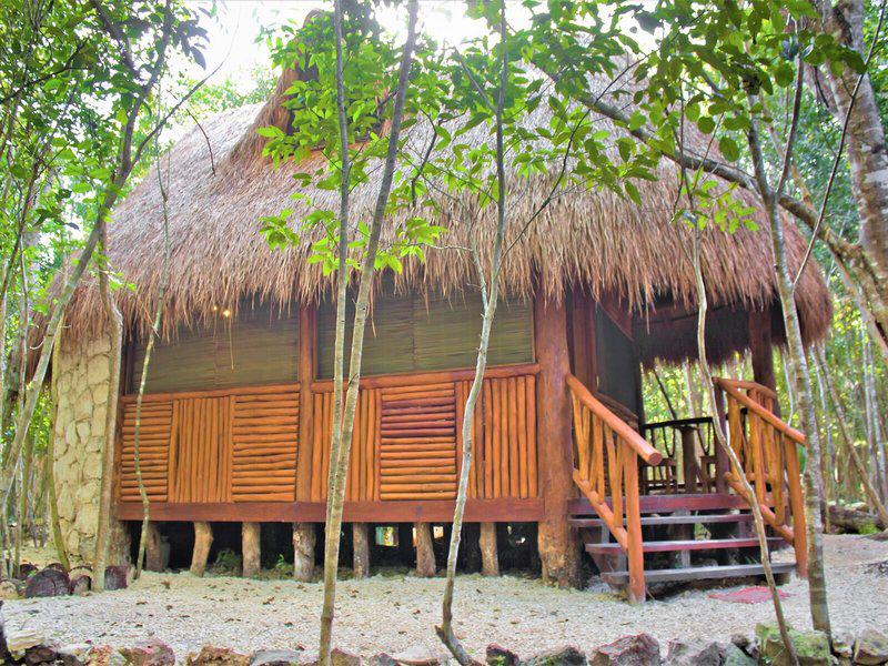 9C7F7C82F82BF52299D9F36652B5E508