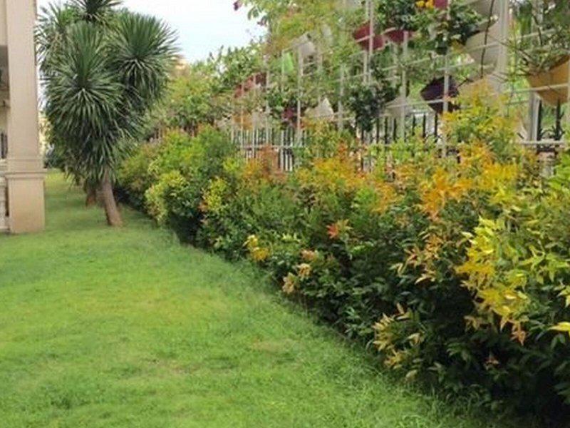 2118F93F75AE21122DC931DF74A1C0FD