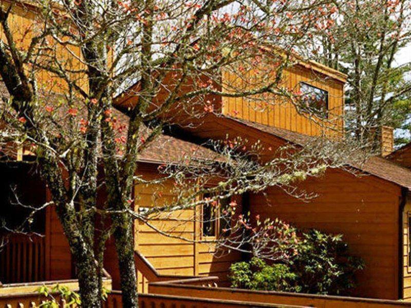 4EC4153CE758C7EF8B6576C28BF80225