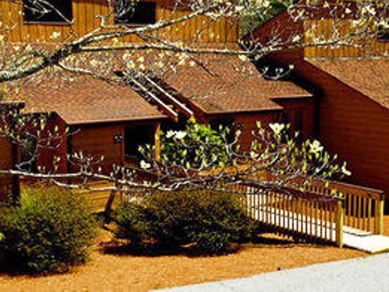 466BC37BBDEFA2FF2ACC93352E8C88BE