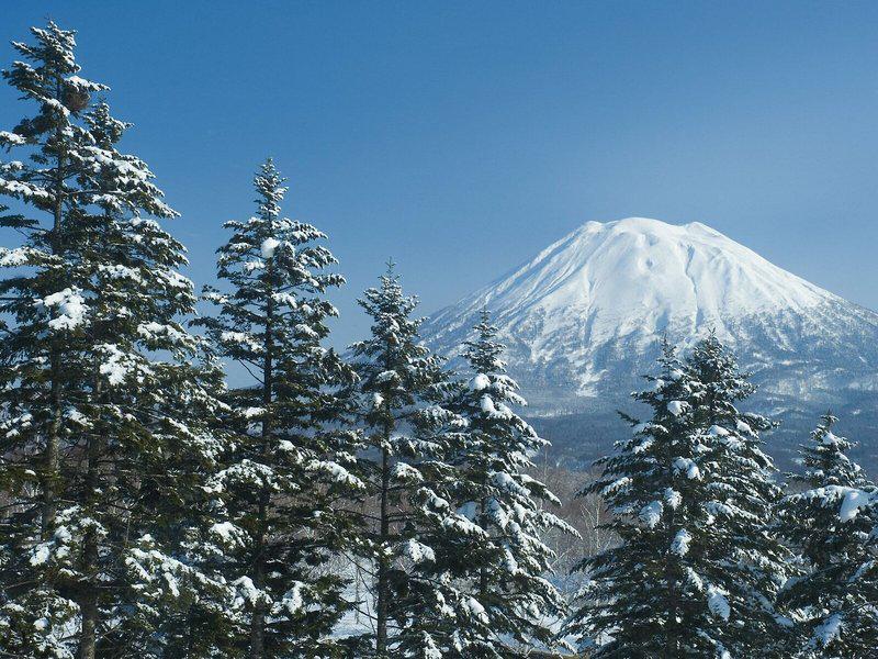 0A84AF5A69A6840665EA063554ACB873