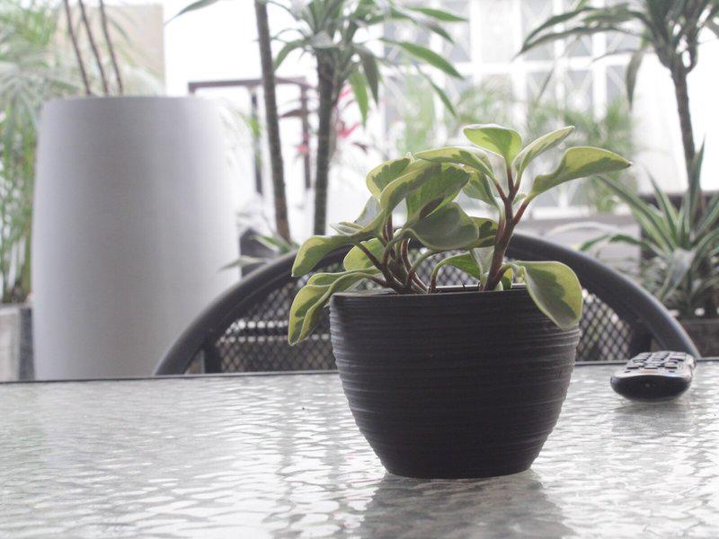 72F161370A125727A1D8163143DFBC53