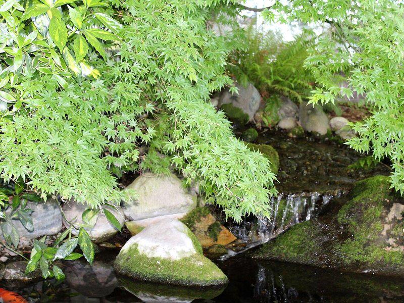 79EE35A41468D40F3AA2EF6AB127024C