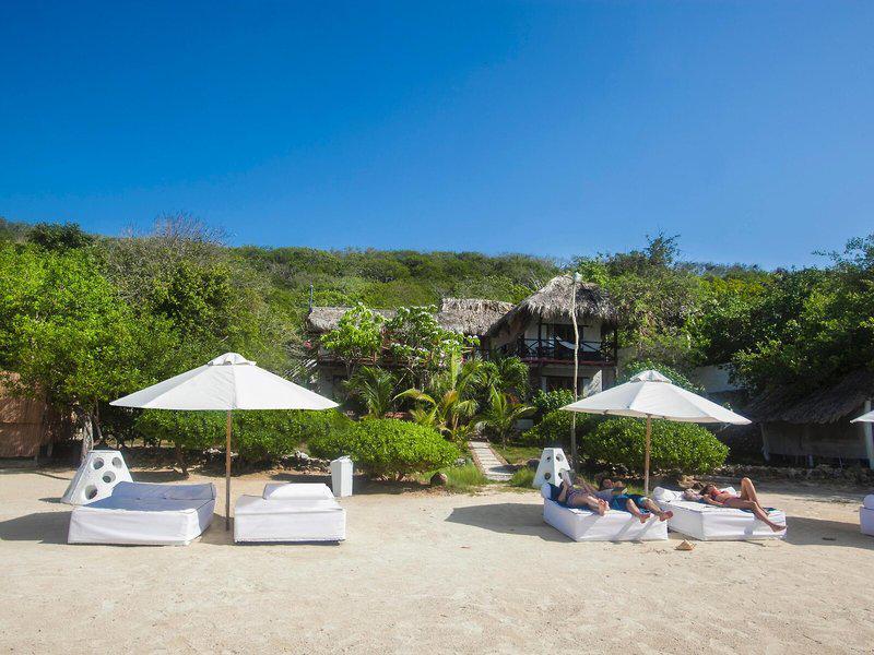 D49C704924A12CA092D242575DD8F4EA