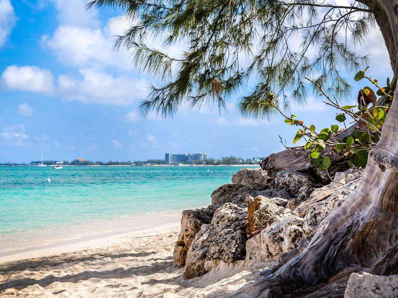 4CA8083CD82ED687B5E8BC84CE9FF80C