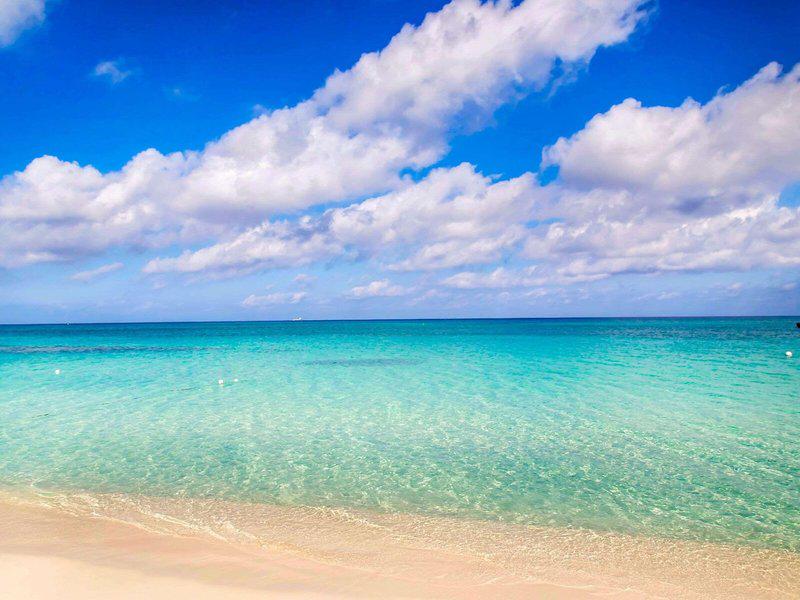 30924DC63AB9C36CA6B792DE5910DE2B