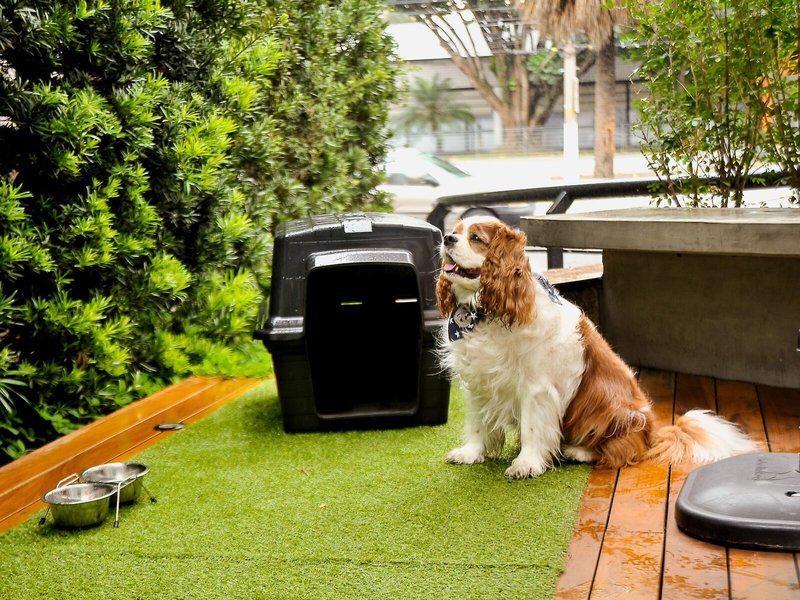 7F985EAD60A62B3E26E650CBB24940C6